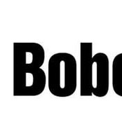 Bobcat