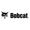 Bobcat